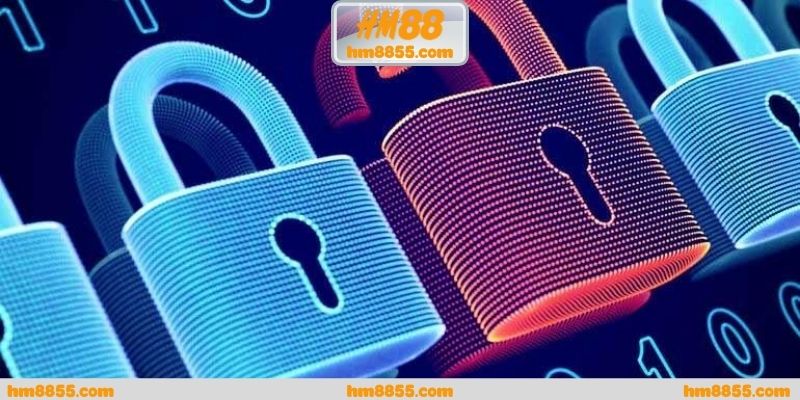 Cam kết bảo mật từ thương hiệu uy tín HM88