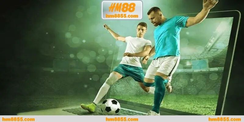 Tỷ lệ kèo châu âu qua cách thương hiệu tổ chức dữ liệu